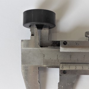 P1017636.JPG