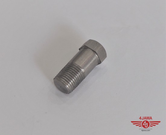 P1017731.JPG