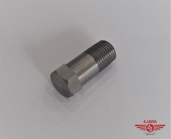 P1017730.JPG