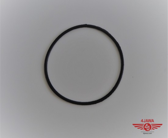 P1017893.JPG