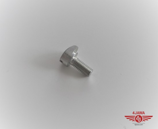 P1017892.JPG