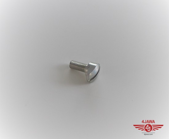 P1017891.JPG