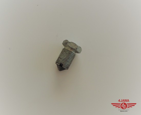 P1017940.JPG