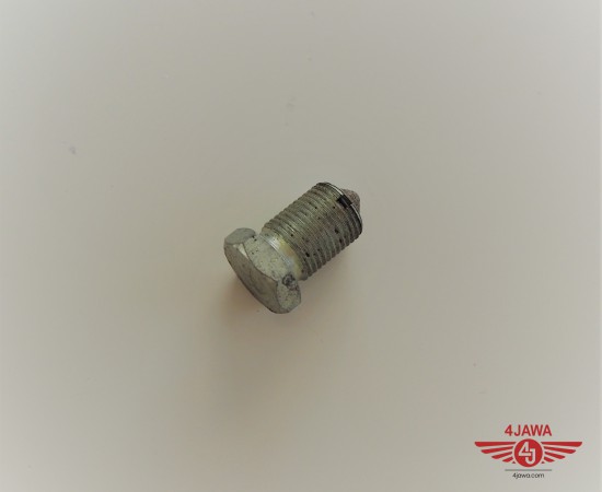P1017941.JPG