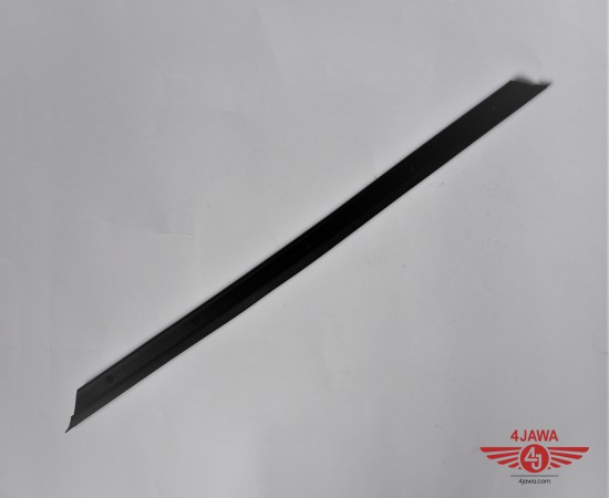 P1018421.JPG