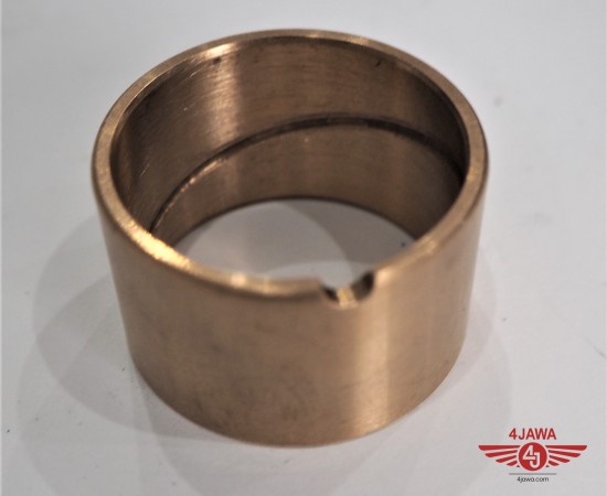 P1018691.JPG