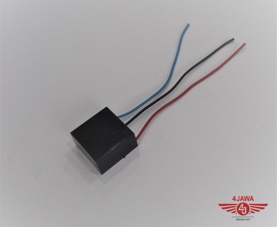 P1018860.JPG