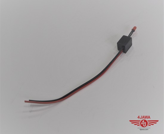 P1018864.JPG