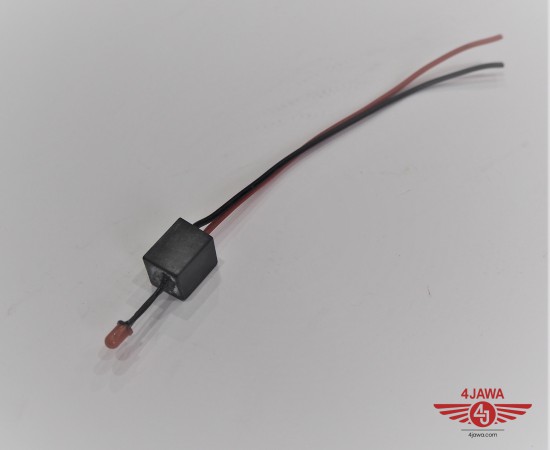 P1018863.JPG
