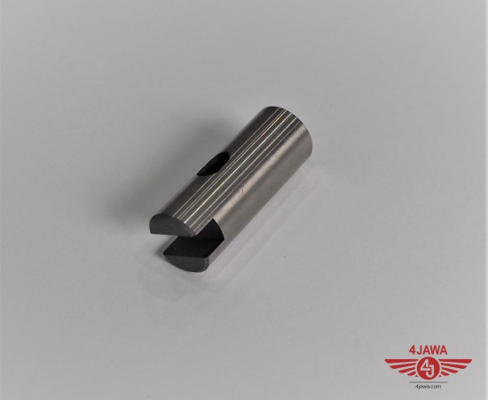 P1018899.JPG