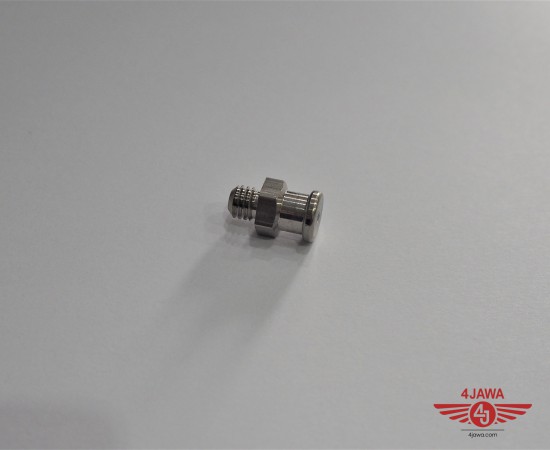 P1018905.JPG