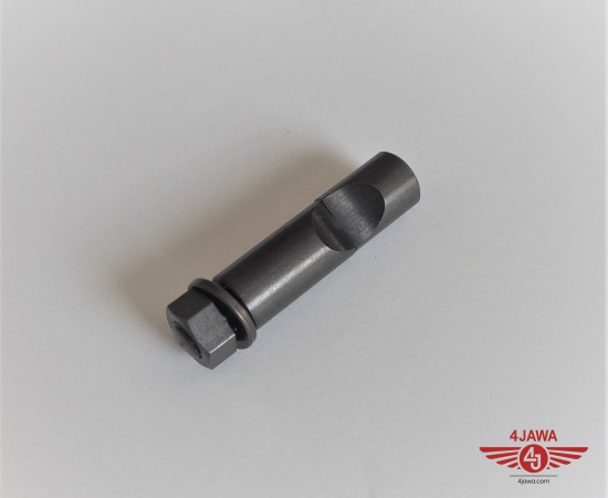 P1019173.JPG