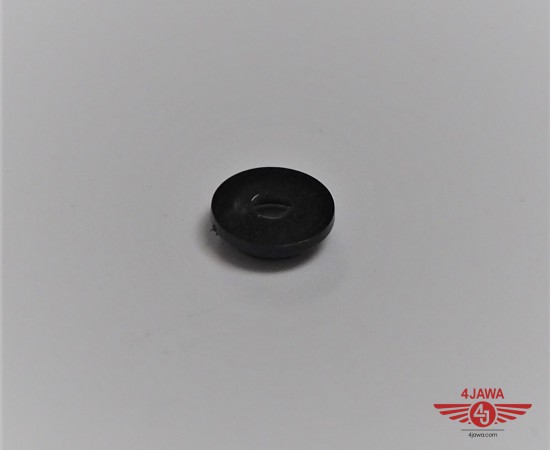 P1010003.JPG