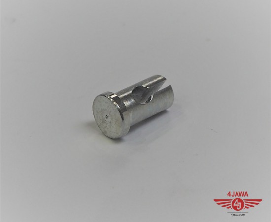 P1010421.JPG