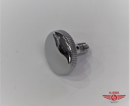 P1010434.JPG