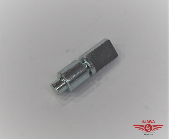 P1010451.JPG