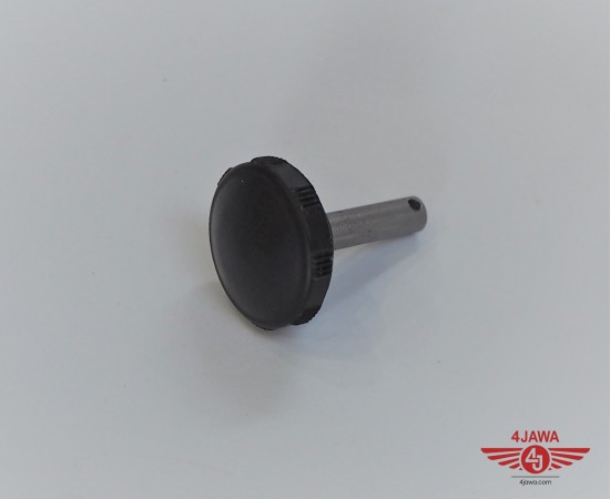 P1010750.JPG