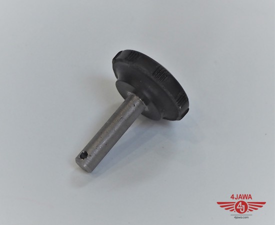 P1010748.JPG