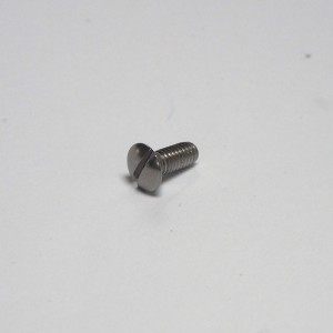 Screw M4x10, stainless steel, not polished A2