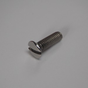 Screw of camshaft gear cover, M6x20, stainless steel/polished, Jawa 500 OHC