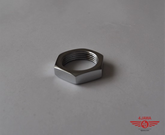 P1015841.jpg