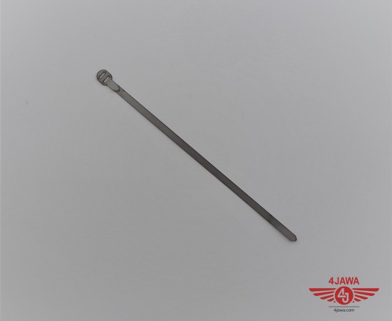 P1017873.JPG