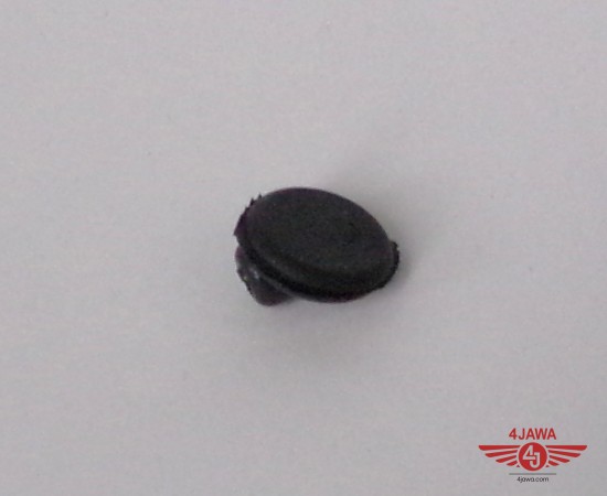 104_5559.JPG