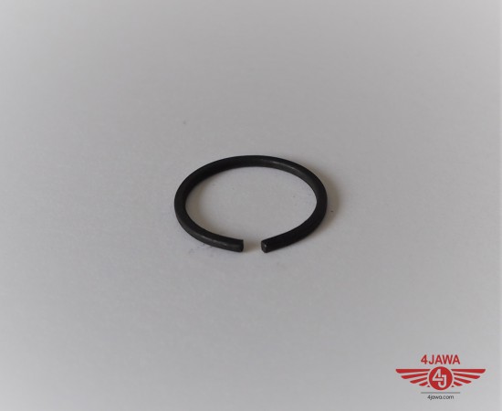 P1015964.JPG