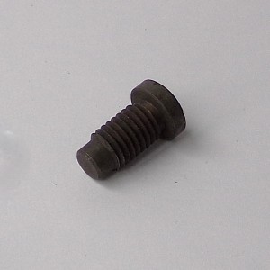 105_2093.JPG