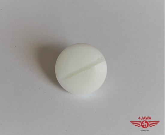P1016741.JPG