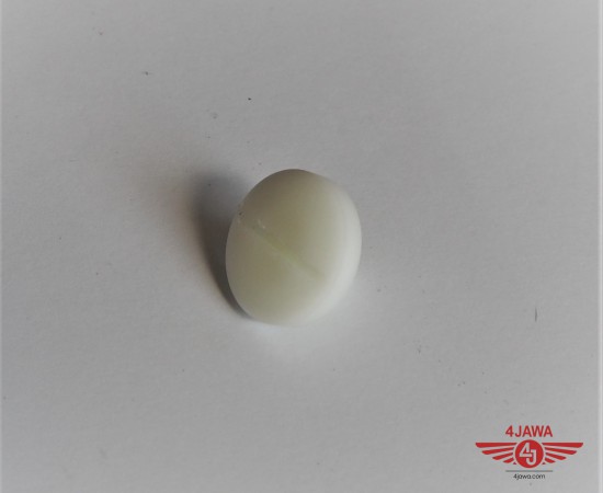 P1016736.JPG
