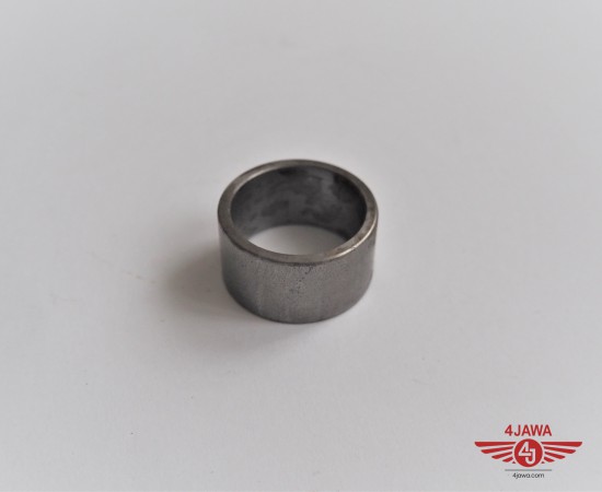 P1010003.JPG