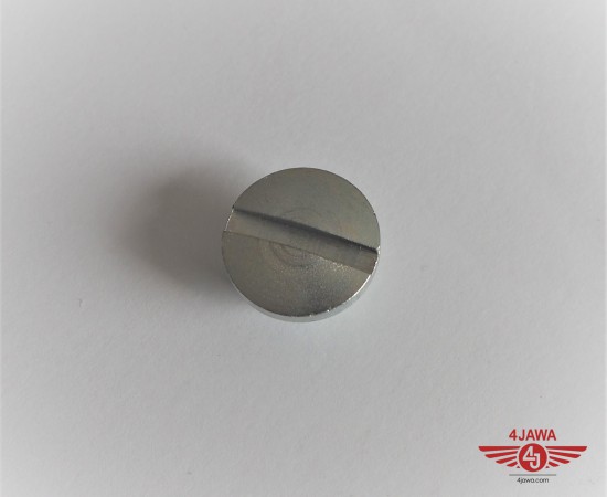 P1015756.JPG