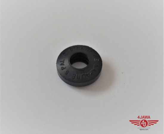 P1016625.JPG